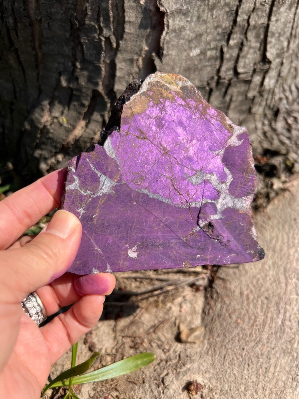 Purpurite (1) Slab with stand | crystal